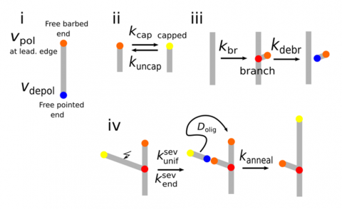 Physics announcement image 2