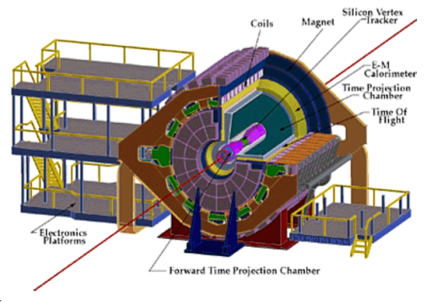 The Star Experiment Physics