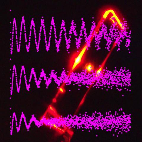 Fluorescend Quantum Beats in Organic Semiconductors