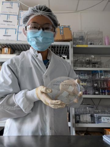 Jing Lab