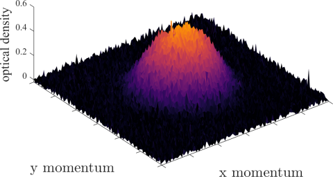 Degenerate Fermi Gas of Potassium-40